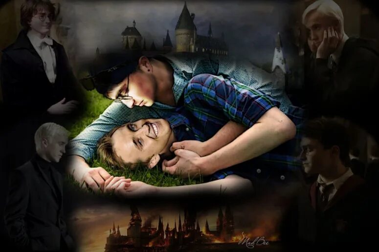 сириус блэк мародеры. седрик диггори и fem гарри поттер. мародеры гарри поттер. фанфик. мемы про фанфики.