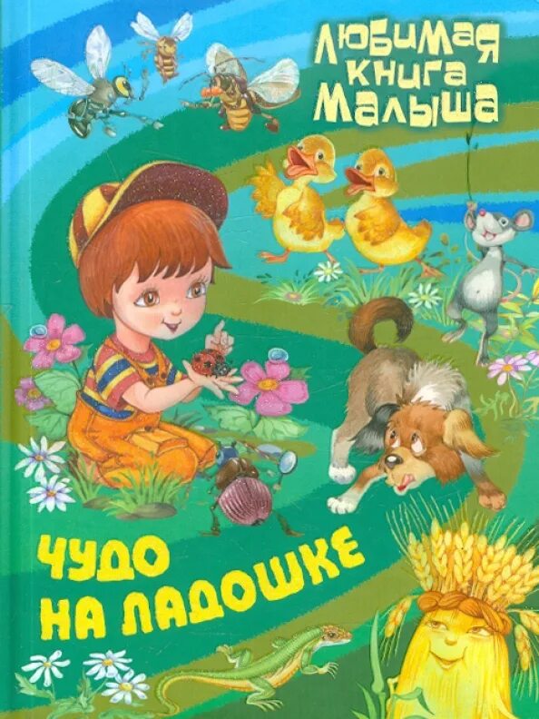 Как называется чудо ребенок. Книги для самых маленьких. чудо-книга для малышей. чудо книжки чудо детям. любимая книга малышей.