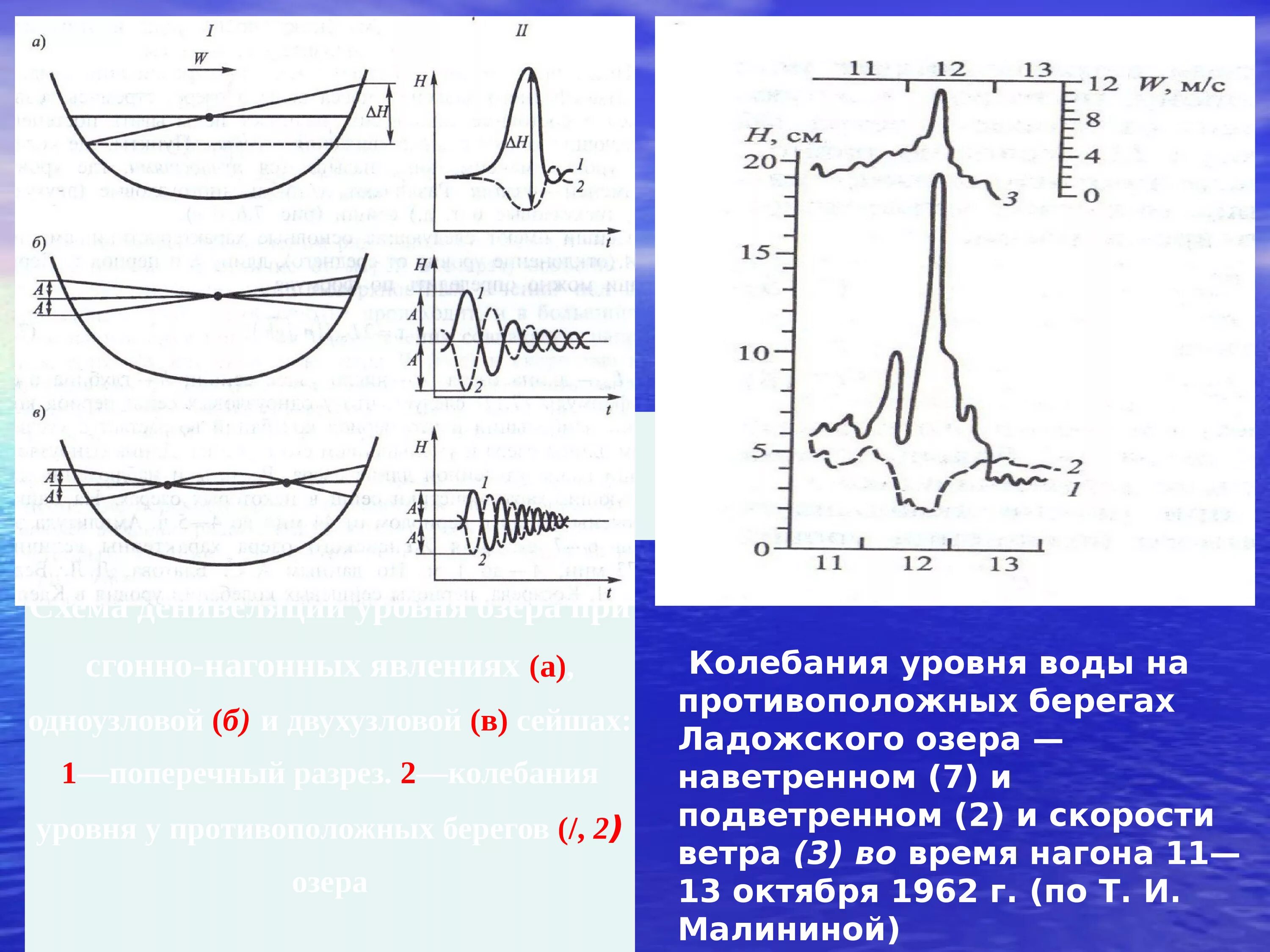 Колебания уровня воды. Колебания уровня воды в Озерах. Колебания уровня воды Ладожского озера. График колебания уровня воды. Течения и колебания уровней воды