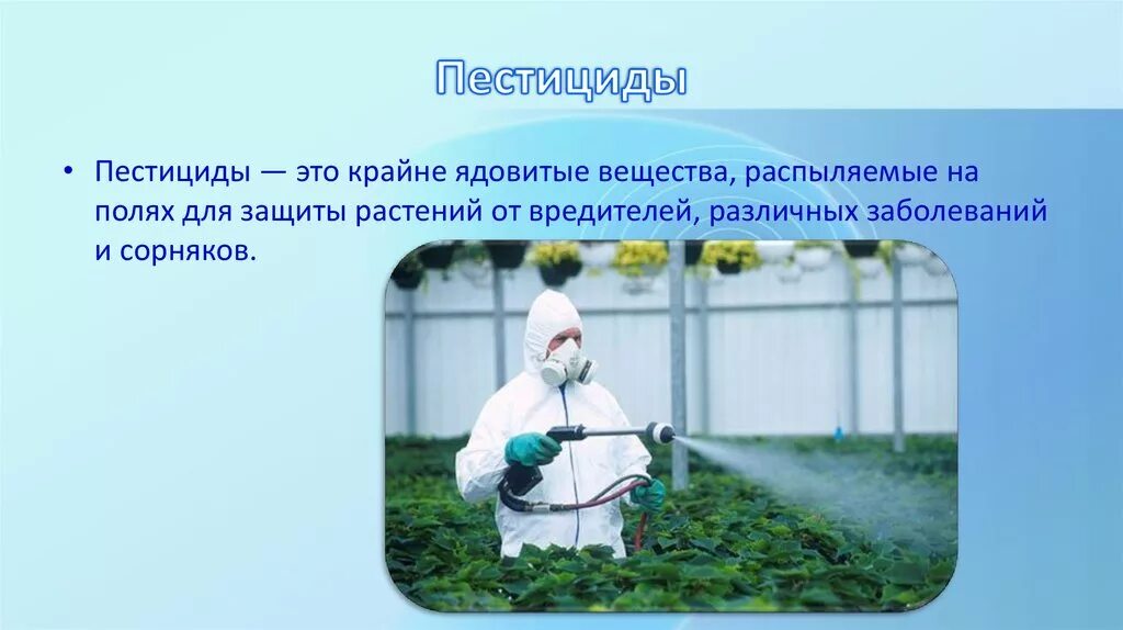 Виды инсектицидов. Пестициды и их виды. Классификация ядохимикатов. Пестициды вывод. Виды пестицидов.
