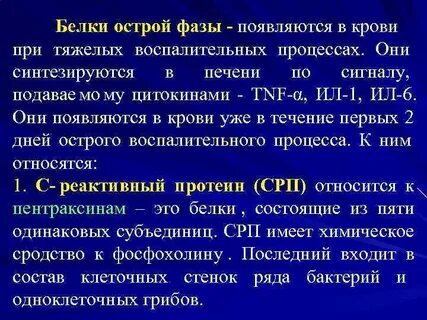 Система белки