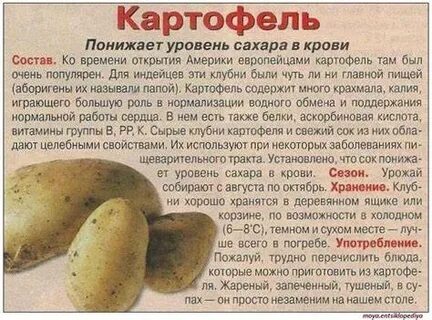 Какую картошку нельзя есть