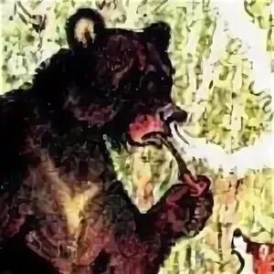 Читать михалкова как медведь трубку нашел. Медведь и трубка. как медведь трубку нашел. михалков как медведь трубку нашел. курящий медведь.
