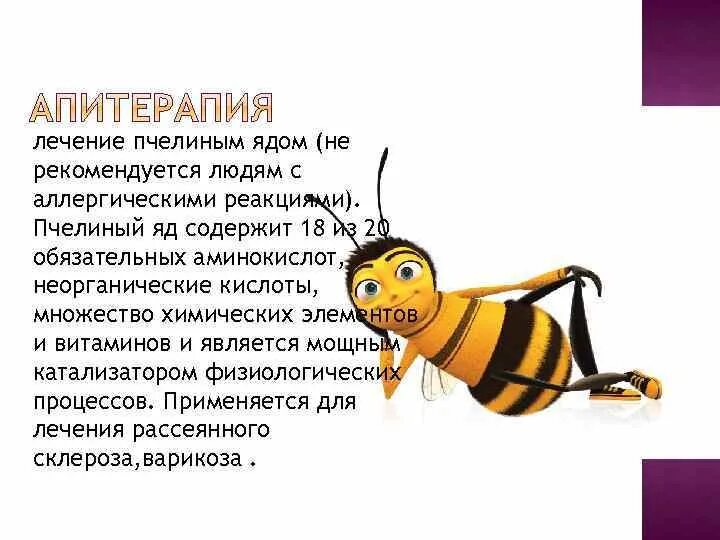 Укус пчелы лечение. Яд пчелы. анималотерапия пчелы.