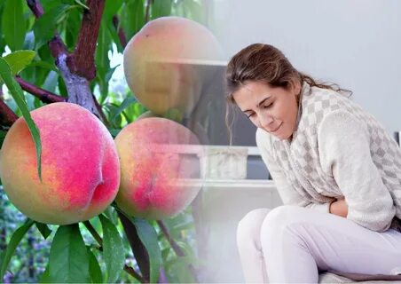 В США вспышка сальмонеллеза: виноваты персики