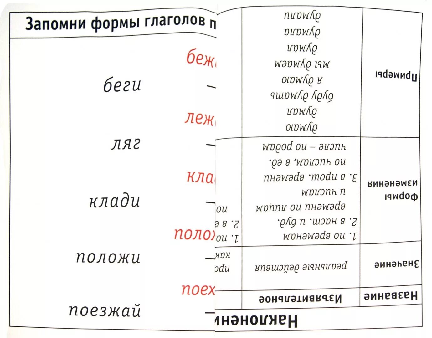 Темы пятого класса по русскому языку. Темы пятого класса по русскому языку