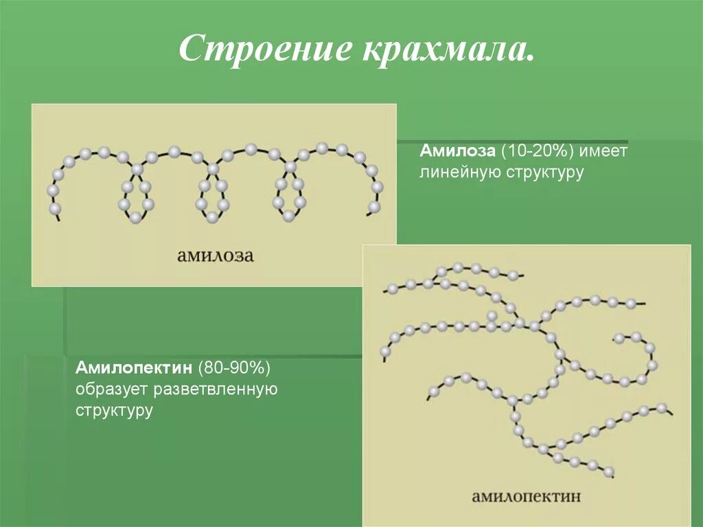 Линейное строение крахмала. Строение крахмала формула. Линейная структура крахмала. Строение амилозы крахмала. Крахмал формула и структура.
