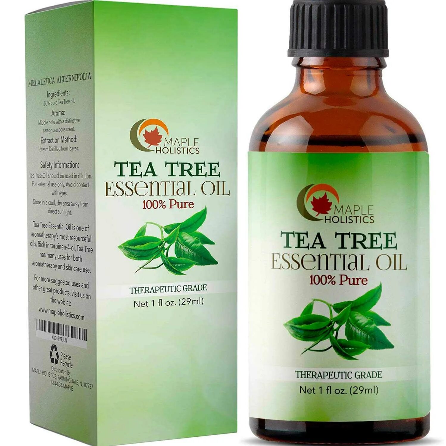 Melaleuca alternifolia Oil. Чайное дерево. Масло чайного дерева. Эфирное масло чайного дерева для лица. Как применять масло чайного дерева