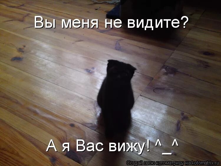 Я вас вижу. Я все вижу. Я тебя вижу. Картинка я вас не вижу.