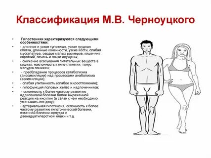 Телосложение человека характеризуется