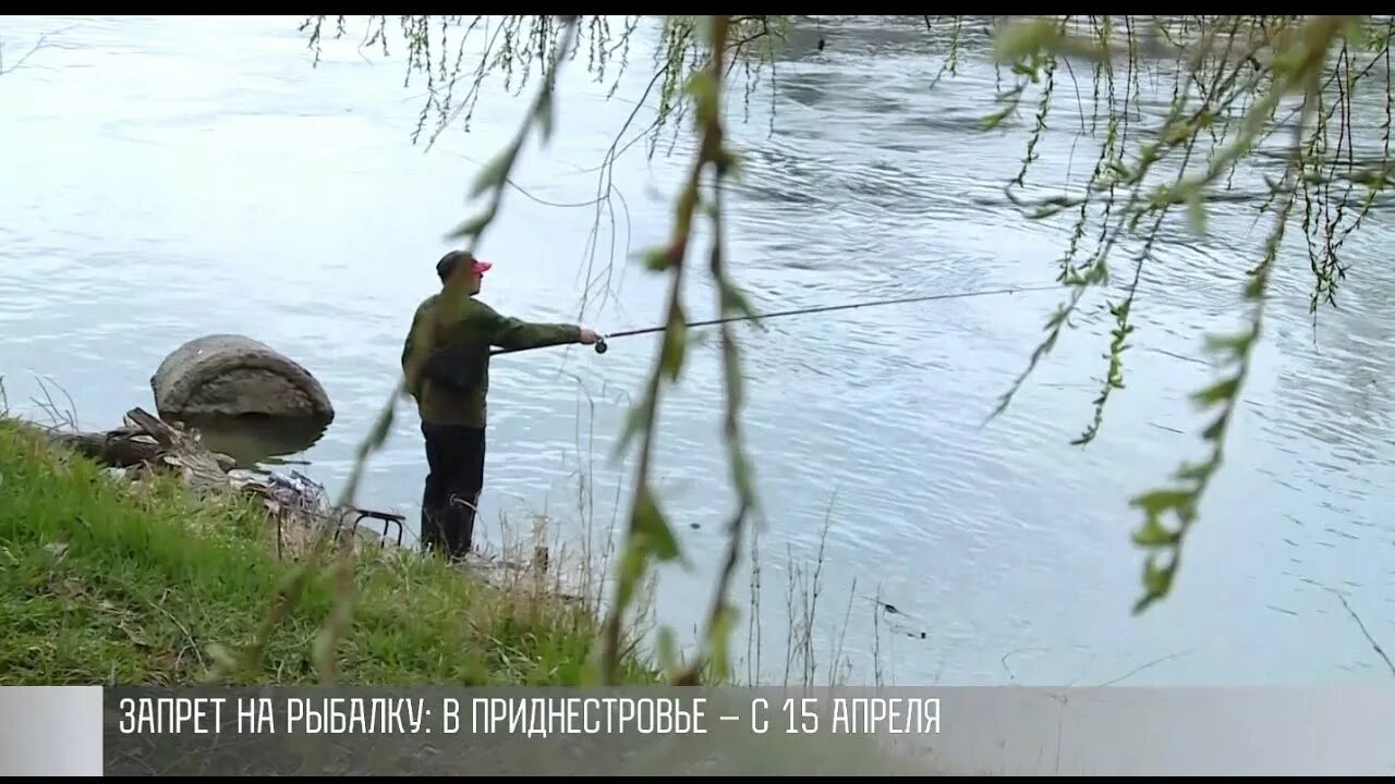 С какого числа запрещено рыбачить. Запрет на рыбалку. рыбалка запрещена. рыбачить. рыбалка в апреле.
