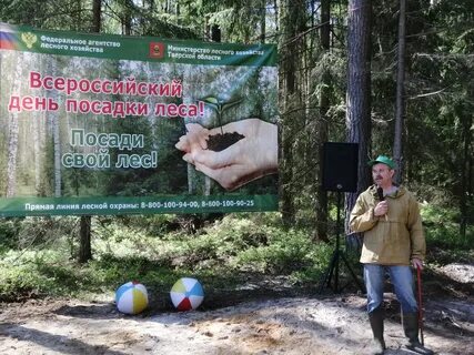 Департамент лесного хозяйства сайт