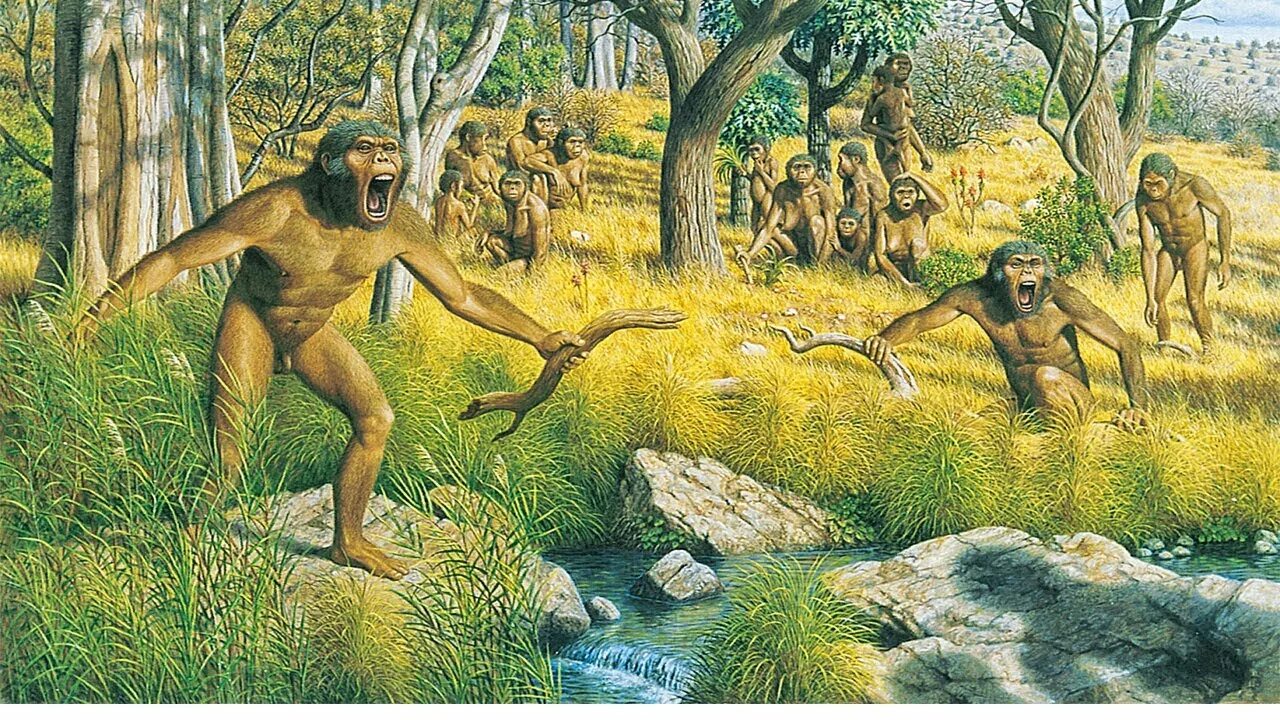 Австралопитек южная обезьяна. Ступени развития человека. Происхождение древних людей. Австралопитеки гоминид. Происхождение древних людей.