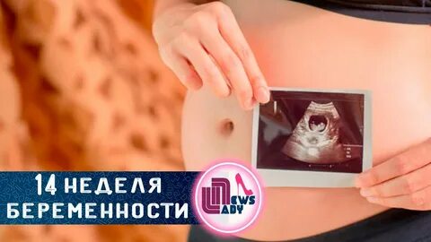 14 неделя года