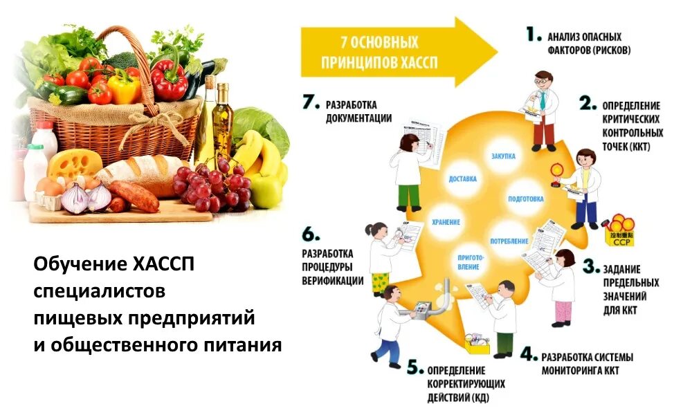 Основы пищевого производства. Система пищевой продукции ХАССП. Внедрение системы ХАССП на пищевом предприятии. Система менеджмента качества ХАССП это. Система контроля качества ХАССП В общественном питании.