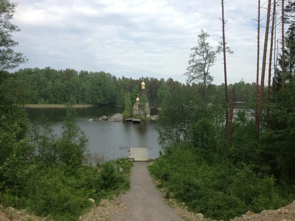 Хвойная луговая. Поселок проточный Приозерский район. Проточное Приозерский район Ленинградской области. Деревня хвойное Приозерский район. П.Луговое Приозерский район.