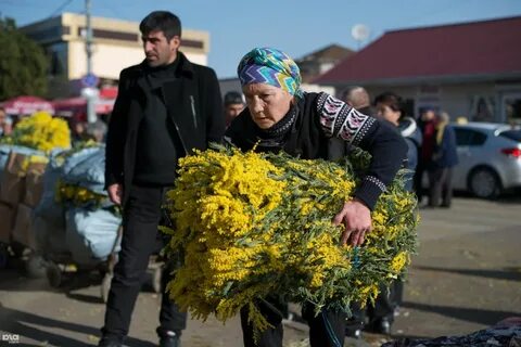 Передает цветок