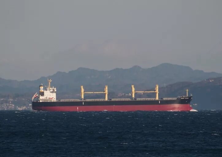 Дедвейт это. Балкер 30000 dwt. балкер дедвейт 30000 тонн. genoa - балкер. балкер 56000dwt река море.