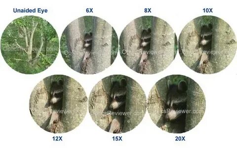 12 кратное увеличение