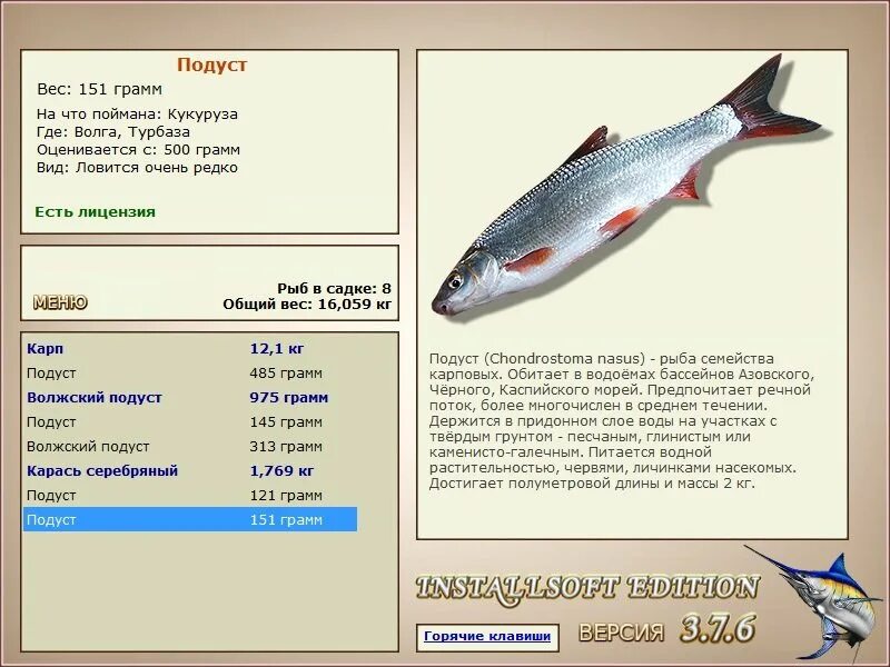 игра реальная рыбалка подуст