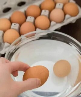 Для чего яйцо в тесте