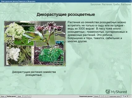 Семейство указанный