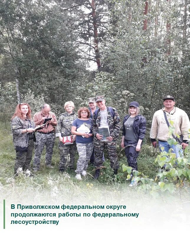 удмуртское лесничество