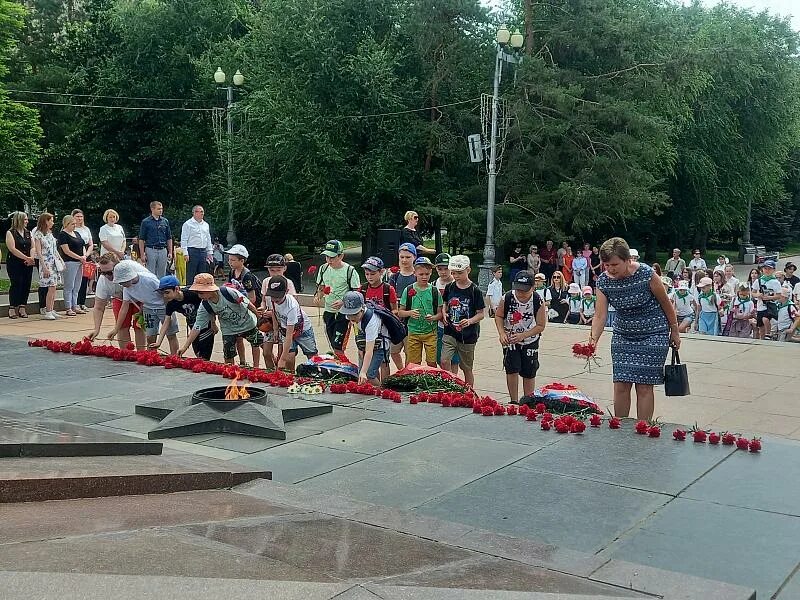 Всероссийский олимпийский день. Фестиваль три четыре волгоград. Дом молодежи волгоград. Дождь волгоград листья. Волгоград возложение цветов.