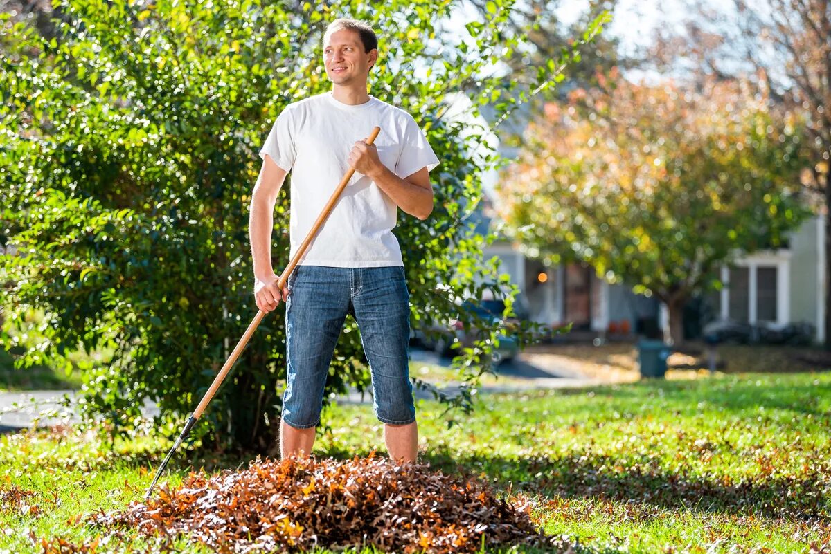 Standing in the yard dressed like a. Rake the yard. фото человека хозяйственного.