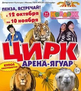 Цирк пенза коллаж