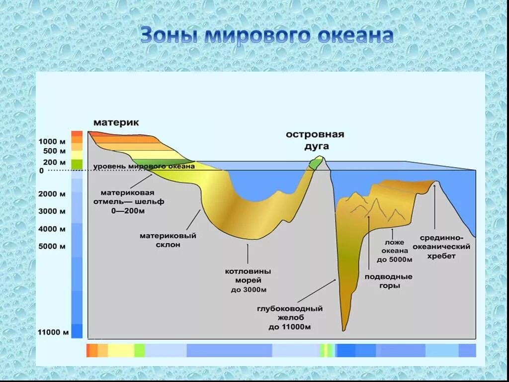 Географические зоны океана. Основные типы рельефа дна мирового океана. Строение дна мирового океана 6 класс география. Рельеф дна океанов схема. Строение дна мирового океана рисунок.