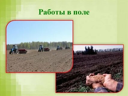 Работа с полем человека