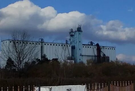 Элеватор в первый день отгрузил 40