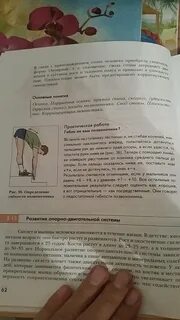 Практическая работа гибок ваш позвоночник