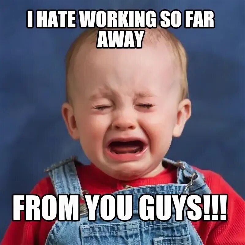 Злость в офисе. Bad science. Hate working. Casual dress friday has been cancelled прикол. Blow work.