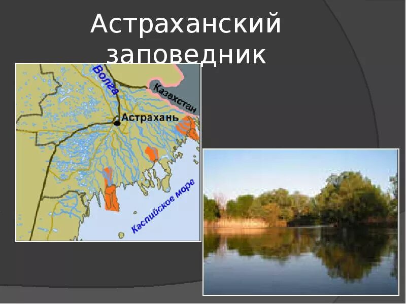 Астраханский заповедник основные объекты охраны. Астраханский биосферный заповедник на карте. Биосферный заповедник Астрахань местоположение. Астраханский государственный биосферный заповедник карта. Астраханский государственный природный биосферный заповедник карта.