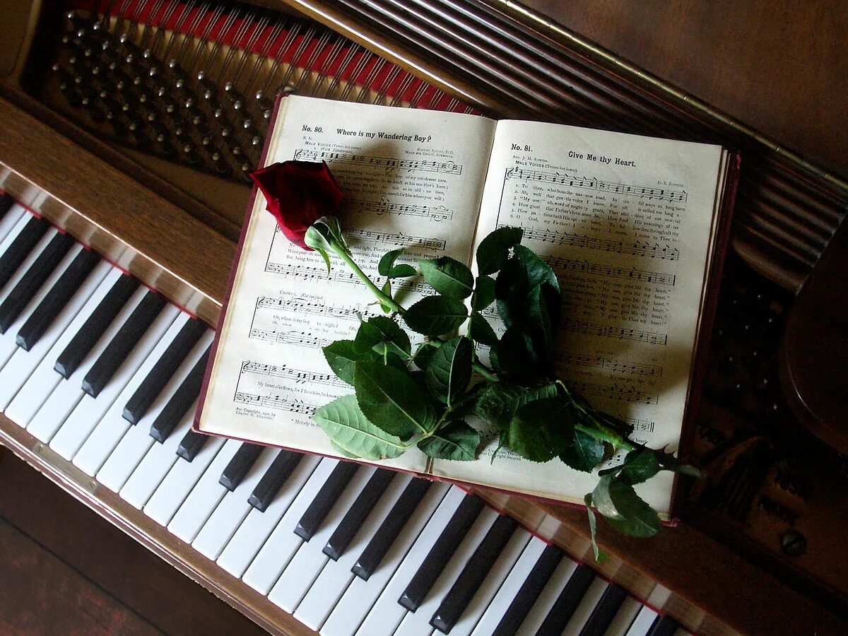 Музыкально поэтический вечер. Фортепиано. Русский романс. Цветы на рояле.