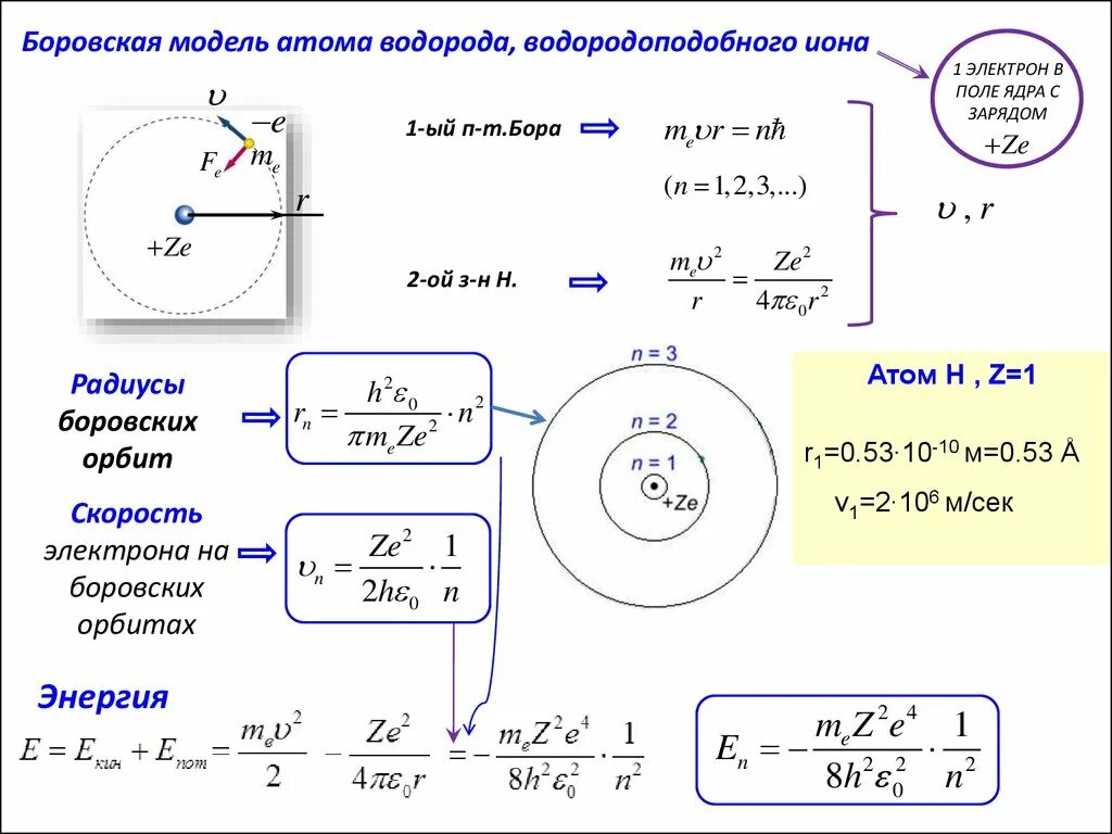 Скорость первой боровской орбиты. Постулаты Бора опыты Франка и Герца. Модель водородоподобного атома. Радиус второй Боровской орбиты атома водорода. Схема опыта Франка и Герца.