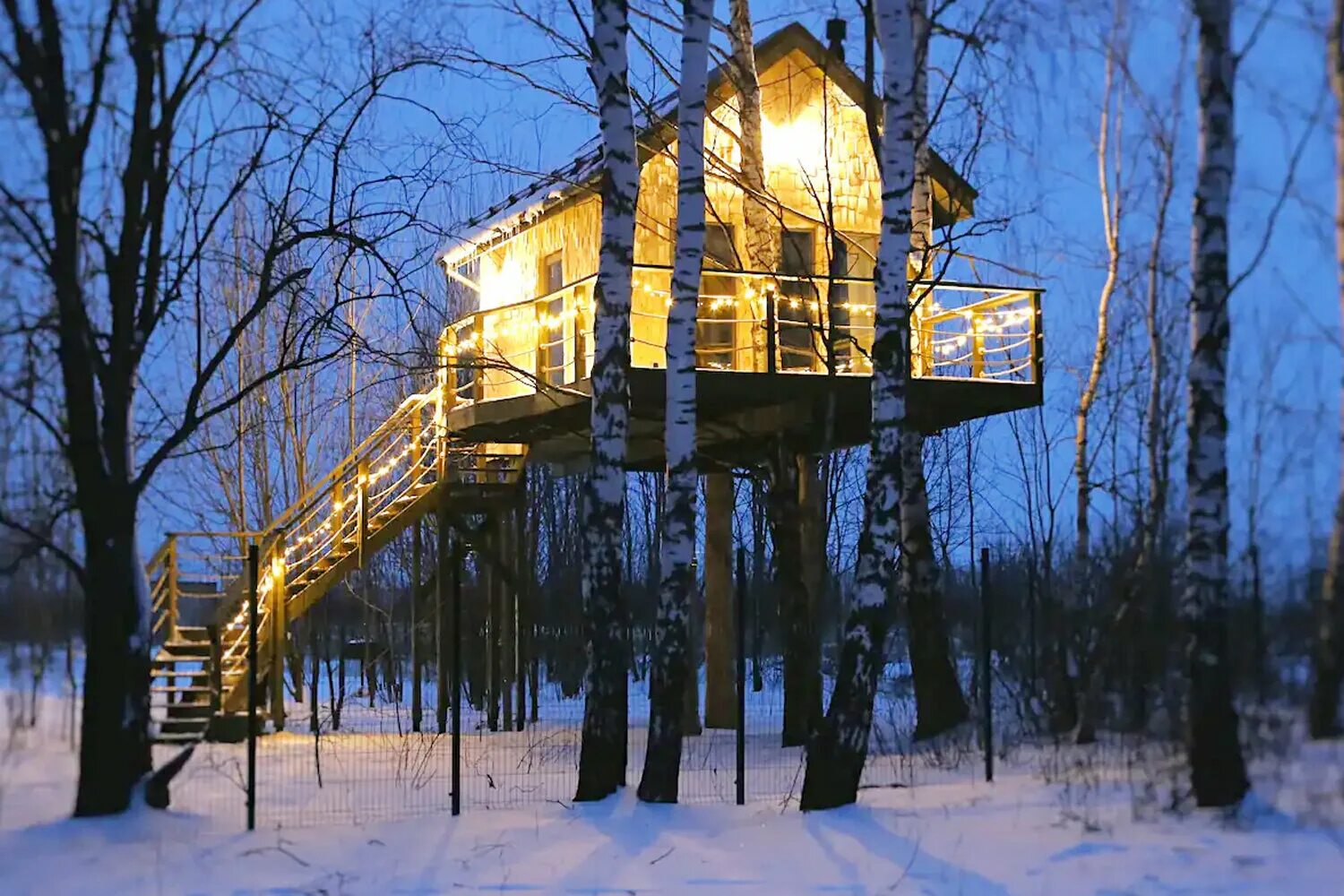 Круглый дом на дереве. Дом на дереве тульская область ласточкино гнездо. Отель treehouse домики на деревьях. Беседки к дому с дерева. Домик на дереве отдых.