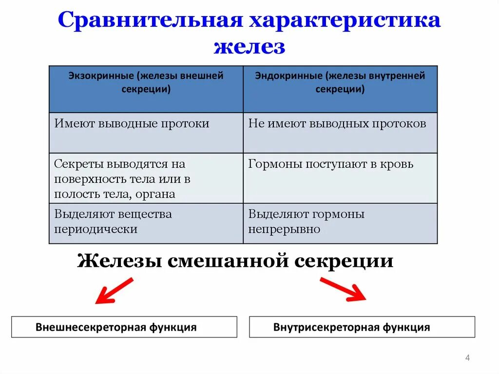 Сравнительная характеристика желёз внешней и внутренней секреции. Характеристика желез внутренней и внешней секреции. Железы внутренней и внешней секреции строение и функции. Сравнительная характеристика желез внешней и внутренней секреции.