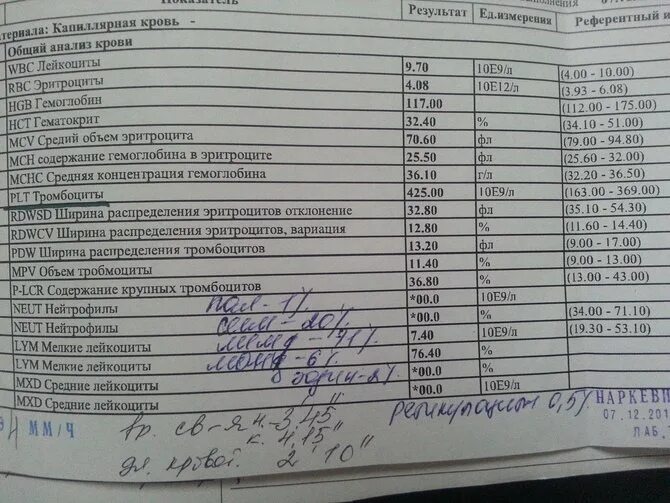Лейкоциты в кале. Копрограмма лейкоциты норма. норма лейкоцитов в кале у грудничка в 1 месяц. норма лейкоцитов в кале у грудничка в 3 месяца. норма анализа у грудничка лейкоциты в кале.
