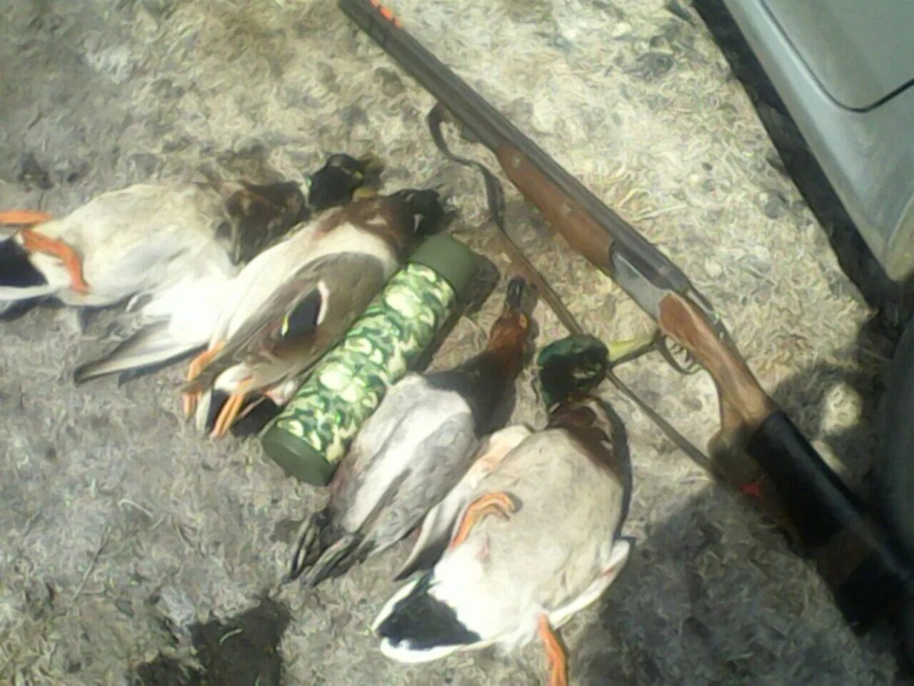 Открытие весенней охоты 2023. Охота на уток. Открытие весенней охоты 2023. Охота на гуся 2022 весенняя видео. Охота.