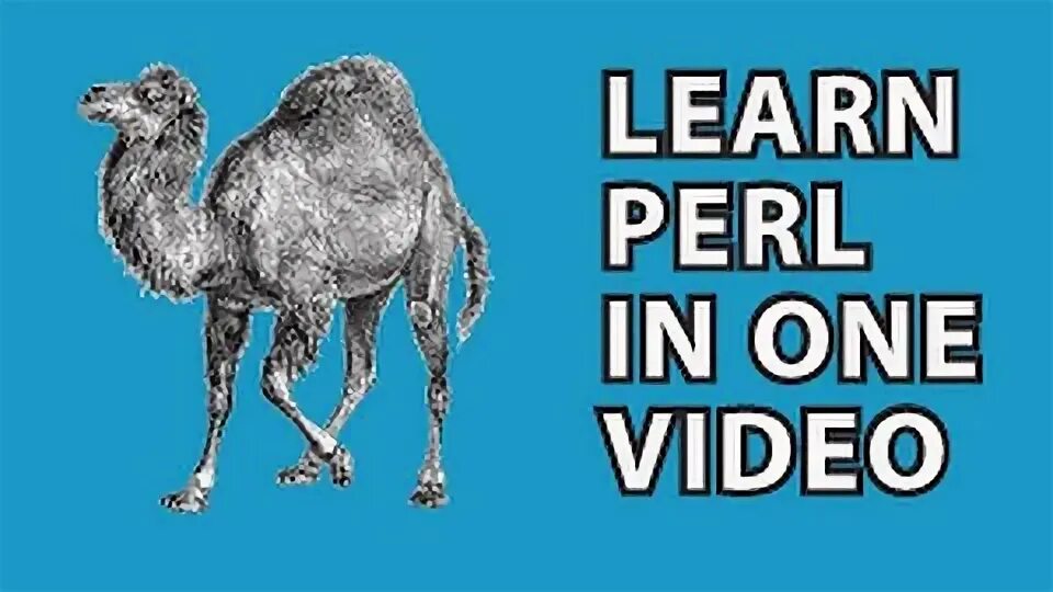Perl system. Perl. perl 2025. мемы про perl. perl code.