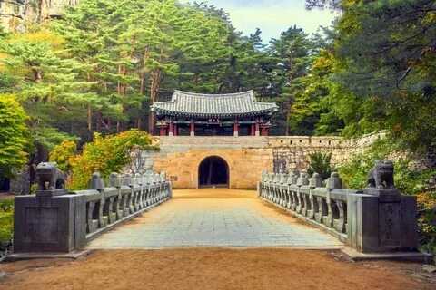 Si korea