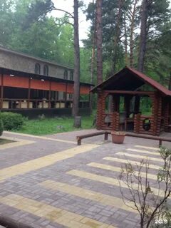 Аренда заельцовский парк