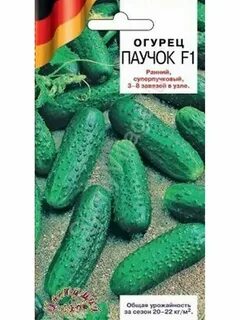 Огурец примадонна