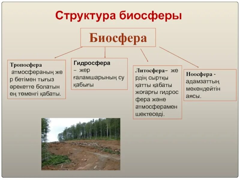 Литосфера ноосфера