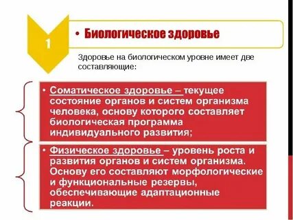 Биологическое здоровье человека это