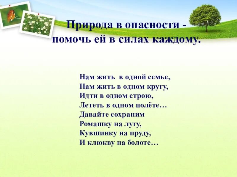 Сообщение об охране природы. Priroda v APASNOSTI. Проект природа в опасности. Природа в опасности презентация. Сообщение на тему природа в опасности.