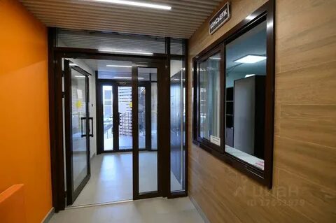 Сокол на оганова ростов